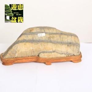 水石：若桜三倉石 現品*資材 わかさ みくら : 遊恵盆栽 Yahoo!店