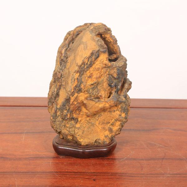 水石：泉州石　ツボ石　　　現品*資材　せんしゅう