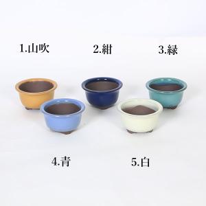 鉢：国産丸鉢　8.7ｃｍ（1950v）*資材