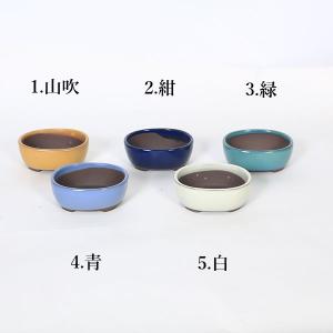 鉢：国産楕円鉢(深)　10.5ｃｍ（1951v）*資材