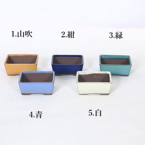 鉢：国産長方鉢　10ｃｍ（1952v）*資材