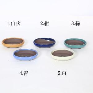 鉢:国産楕円鉢(浅) 11cm(1954v)*資材の商品画像