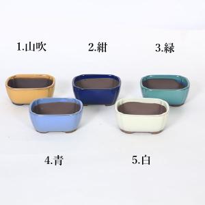 鉢：国産長方鉢　9.7ｃｍ（1956v）*資材