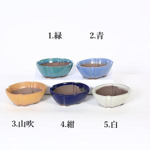 青香　長方　盆栽鉢 盆栽小鉢：青香(せいか)（長方鉢 12.2cm）* 資材 : 遊恵盆栽