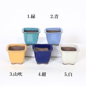 鉢：国産正方鉢　10ｃｍ（2146）*資材