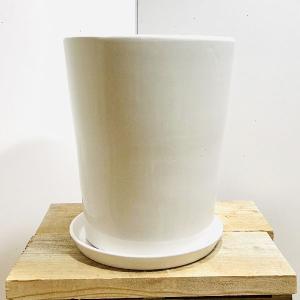 雑貨　鉢：白陶器鉢　大　皿付*　資材｜y-bonsai