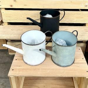 おしゃれ 観葉植物：マランタ レウコネウラ ファッシネーター*8号 吊り