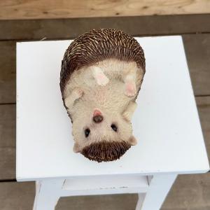 雑貨 置物 フィギュア：ハリネズミ C*hedgehog はりねずみ フィギア H13.8cm  アンティーク調｜y-bonsai