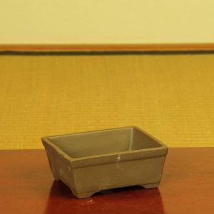 鉢:国産土物小鉢3号* A 資材の詳細画像2