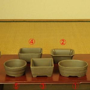 盆栽鉢　　平安祐泉 楽天市場】現代小鉢：平安佑泉 楕円鉢 10.0cm*資材 へいあんゆうせん