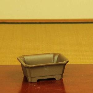 鉢:国産土物小鉢3号* B 資材の詳細画像2