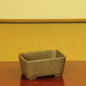 鉢:国産土物小鉢3号* B 資材の詳細画像4