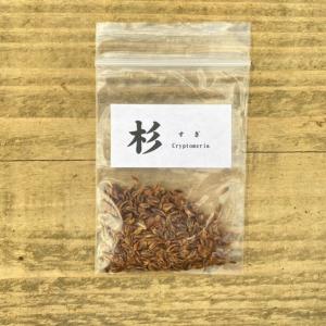 盆栽種子 イロハモミジの種子 50粒・いろは紅葉 種子・Acer palmatum