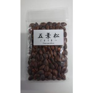 イロハモミジの種　約50g 盆栽種子 イロハモミジの種子 50粒・いろは紅葉 種子・Acer palmatum
