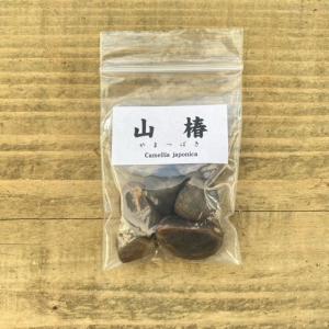 【専用】ノムラモミジ　【品番3466】 専用】ノムラモミジ 【品番3466】 ノムラモミジ 【品番3466】