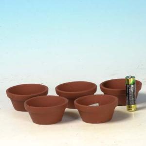 盆栽小鉢：御蔵山 (だ円鉢 12.6cm)*資材 : 遊恵盆栽 Yahoo!店
