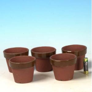 鉢：素焼き鉢 駄温 11号浅* 資材 : 遊恵盆栽 Yahoo!店 - 通販 - Yahoo