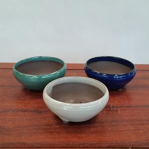 盆栽小鉢：伊藤屯洋(とんよう) 楕円鉢 13.2cm *現品もの 資材