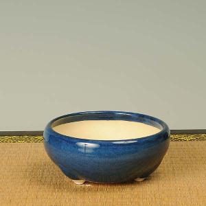 盆栽小鉢：真山（まざん）楕円鉢 13.7cm 【現品】 : 遊恵盆栽 Yahoo!店