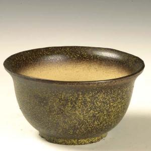 盆栽小鉢：伊藤屯洋(とんよう) 楕円鉢 13.2cm *現品もの 資材 : 遊恵