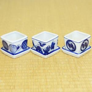 盆栽小鉢：伊藤屯洋(とんよう) 楕円鉢 13.2cm *現品もの 資材 : 遊恵