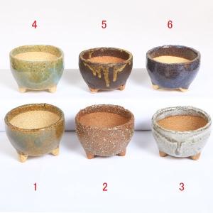 鉢：信楽焼小鉢　7.6ｃｍ かみ山陶器* 資材