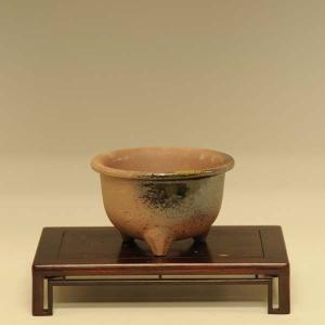 大品盆栽：糸魚川真柏【現品】*【当店へご来店引き取りの方限定