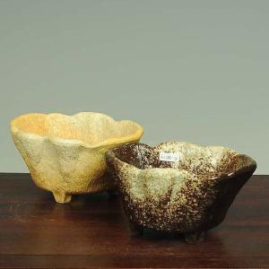 盆栽小鉢：伊藤屯洋(とんよう) 楕円鉢 13.2cm *現品もの 資材 : 遊恵
