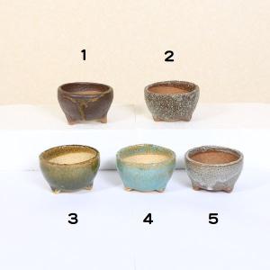 盆栽鉢：祥石（ゆうき）丸鉢・小* 資材 : 遊恵盆栽 Yahoo!店 - 通販