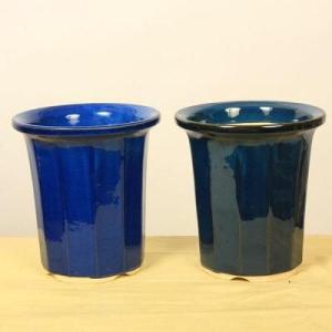 盆栽小鉢：美芸（常滑）六角鬼面足面付鉢 21.5cm*資材 : 遊恵盆栽