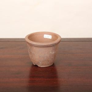 鉢:伝市小鉢C 2.5号* 資材の商品画像