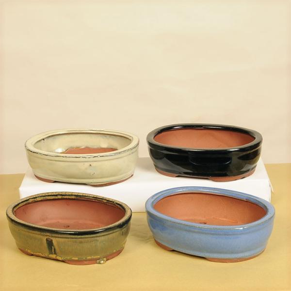 鉢：中国小鉢*　J-28　資材