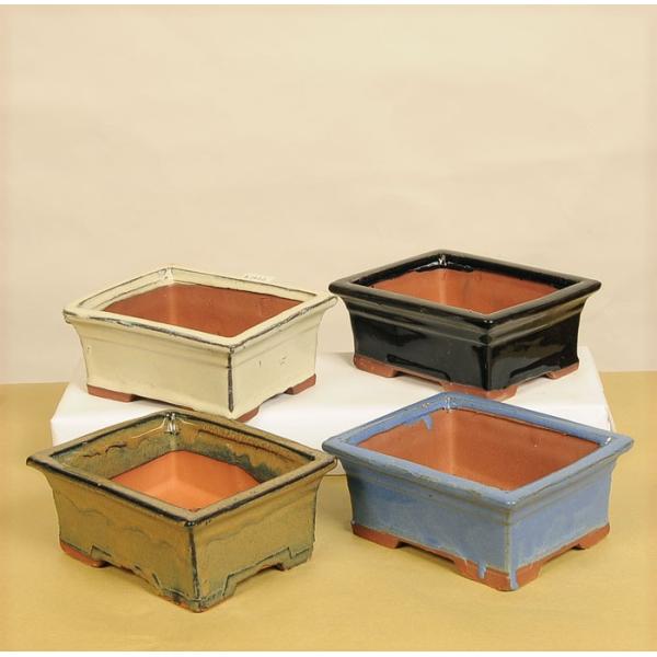 鉢：中国小鉢*　J-64　資材