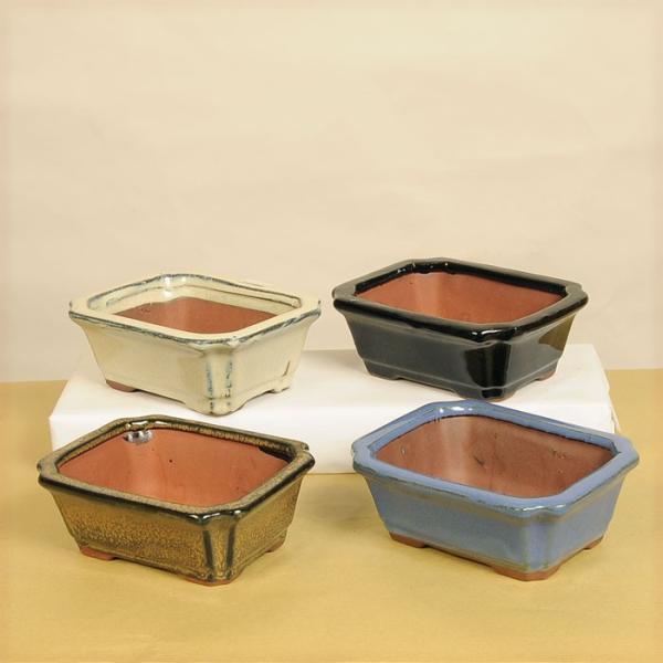 鉢：中国小鉢*　J-65　資材