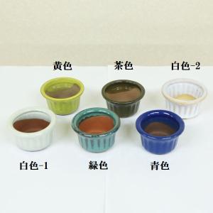 鉢：中国豆鉢（輪花）　6.5ｃｍ*　資材
