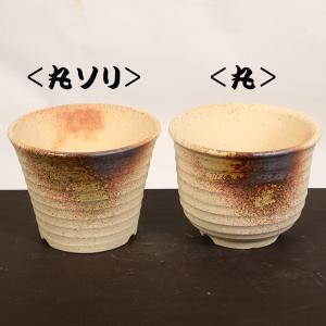 美芸　盆栽鉢 盆栽小鉢：美芸（常滑）丸変り裏鬼面鉢 5.0cm*資材 : 遊恵盆栽 Yahoo
