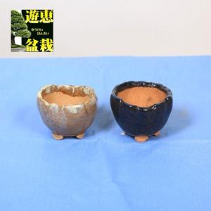 盆栽鉢：祥石（ゆうき）丸鉢・小* 資材 : 遊恵盆栽 Yahoo!店 - 通販