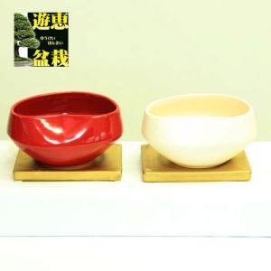 現代小鉢：平安虹泉 足付丸鉢 9.2cm【現】*資材 へいあんこうせん