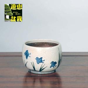 信楽焼：カニ織部絵付浅鉢 5号* 資材 : 遊恵盆栽 Yahoo!店 - 通販