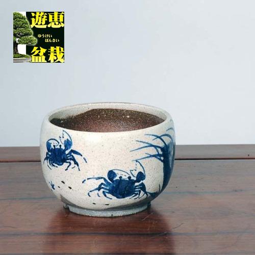 信楽焼：粉引絵付鉢（カニ）11.5cm*　資材