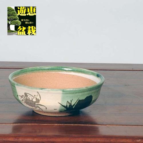 信楽焼：カニ織部絵付浅鉢　5号*　資材