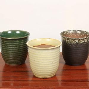 盆栽小鉢：春嘉（はるよし） 丸鉢13cm*現品 1品限り 資材 : 遊恵盆栽
