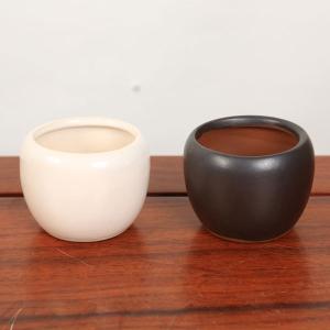鉢：丸鉢　2号　6cm*　資材