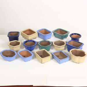 盆栽小鉢：春嘉（はるよし） 丸鉢13cm*現品 1品限り 資材 : 遊恵盆栽