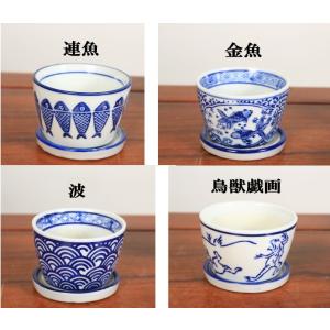 鉢:絵柄小鉢受け皿付* 資材の詳細画像1