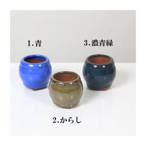 鉢：中国製たいこ鉢*資材