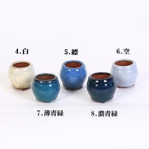 鉢:中国製たいこ鉢*資材の詳細画像1