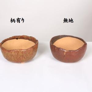 盆栽小鉢：美芸（常滑）六角鬼面足面付鉢 21.5cm*資材 : 遊恵盆栽