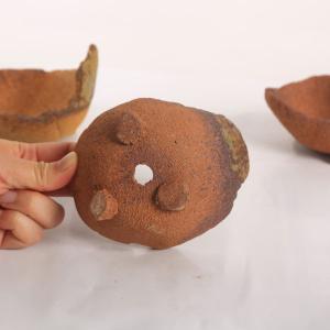 鉢:信楽焼くらま鉢 鉢径 約11cm* 資材の詳細画像1