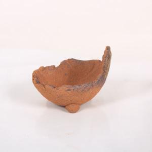 鉢:信楽焼くらま鉢 鉢径 約11cm* 資材の詳細画像2